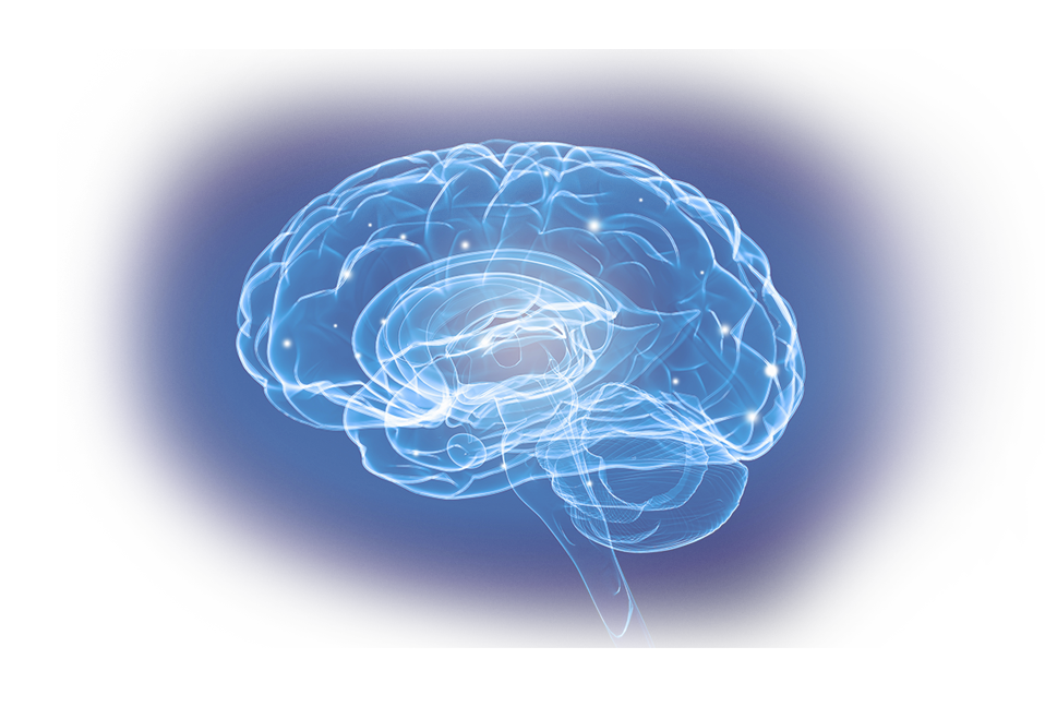 NEURO-Magnetic-Brain